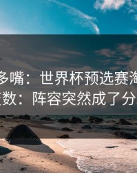 别怪我多嘴：世界杯预选赛淘汰赛临场变数：阵容突然成了分歧点