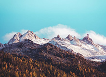 回放看三遍才懂：国王杯定位球套路藏得深，凯尔特人掏出来就见血