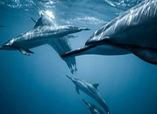 圈内人透露：进球彩这期最怕的不是冷，是风格克制