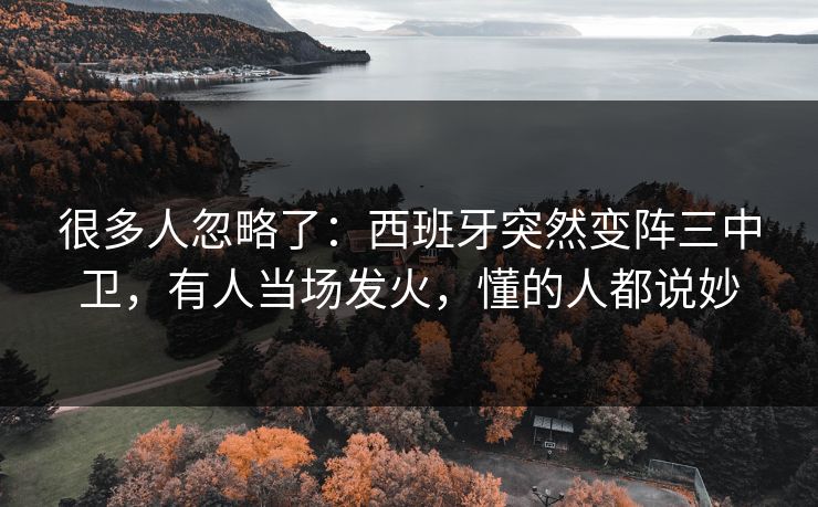 很多人忽略了：西班牙突然变阵三中卫，有人当场发火，懂的人都说妙